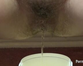 Brunette with a very Hairy Pussy Urinates