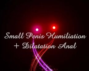 002 - Teaser Small Humiliation Penis ( SPH) - Anal