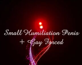 003 - Teaser - Small Humiliation Penis (SPH) Gay